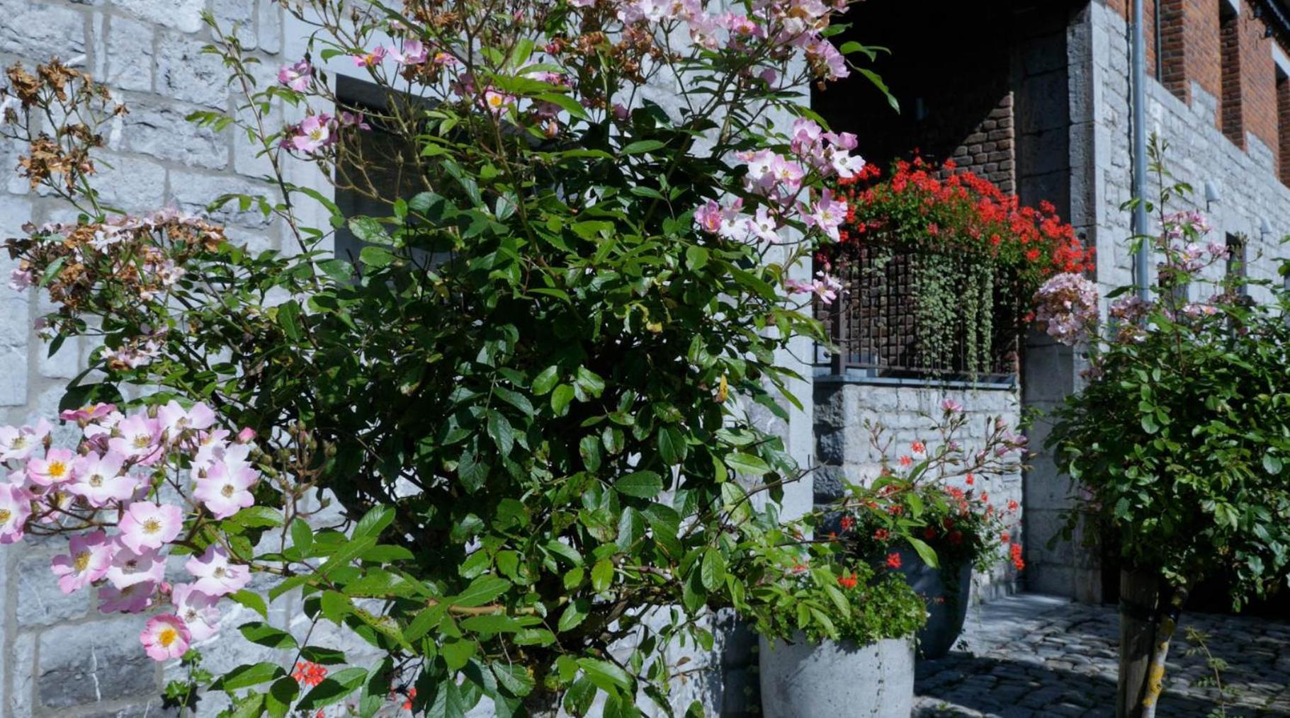 Gites Ferme De La Barriere ชิเมย์ ภายนอก รูปภาพ